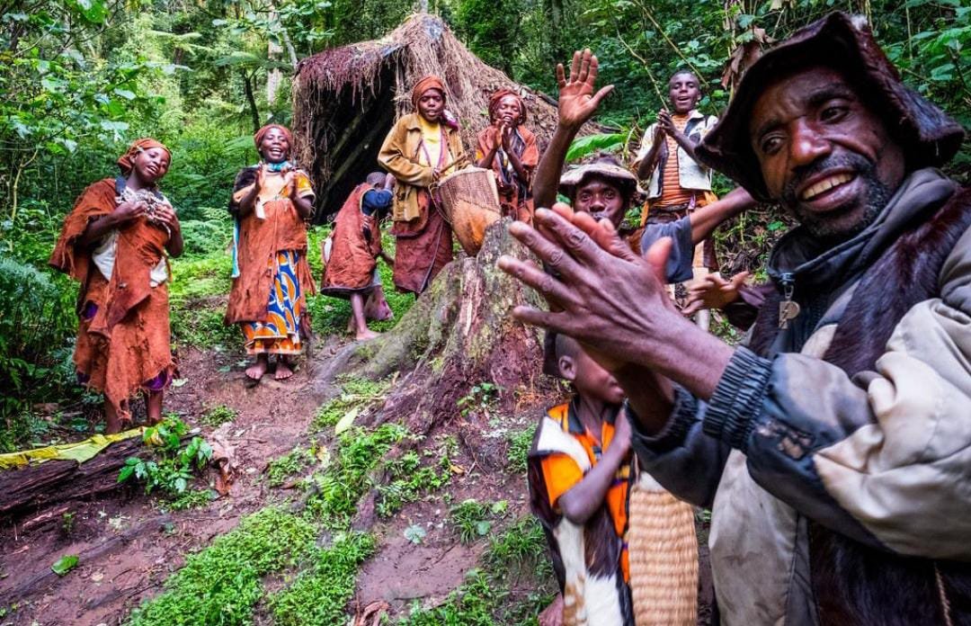 UGANDA FLYING GORILLA TREKKING&nbsp; SAFARI - 4&nbsp; DAYS 3