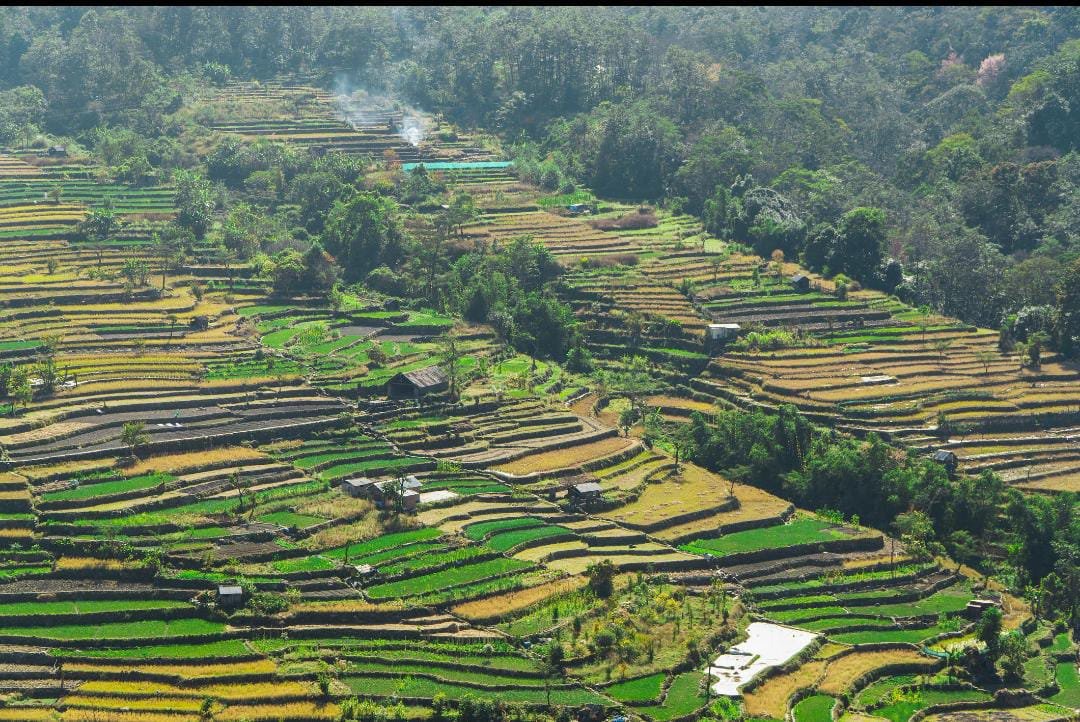  5N 6D Nagaland Experience  3