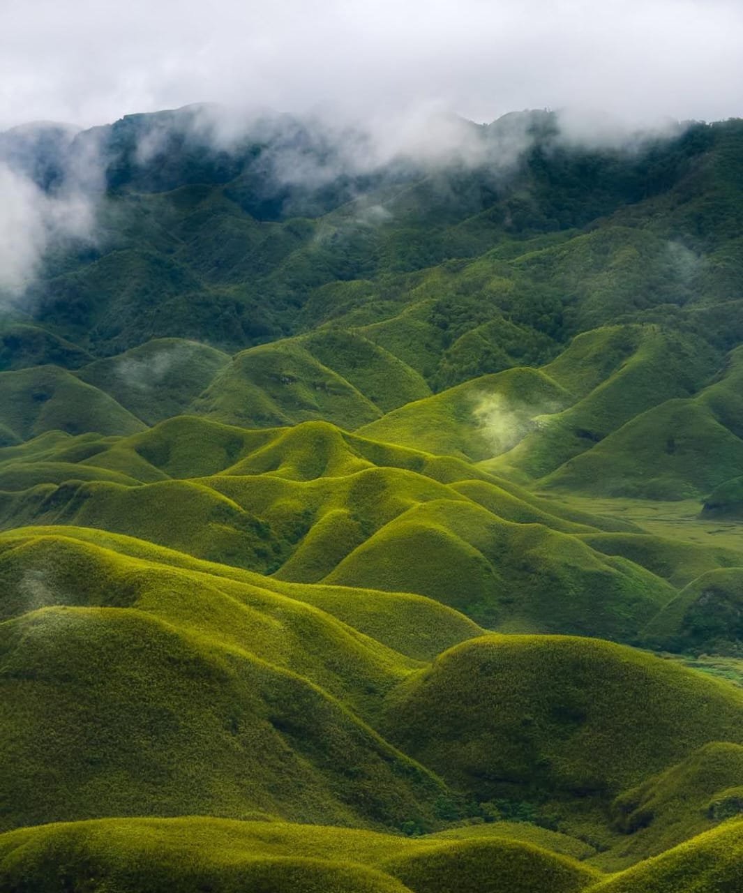  5N 6D Nagaland Experience  4