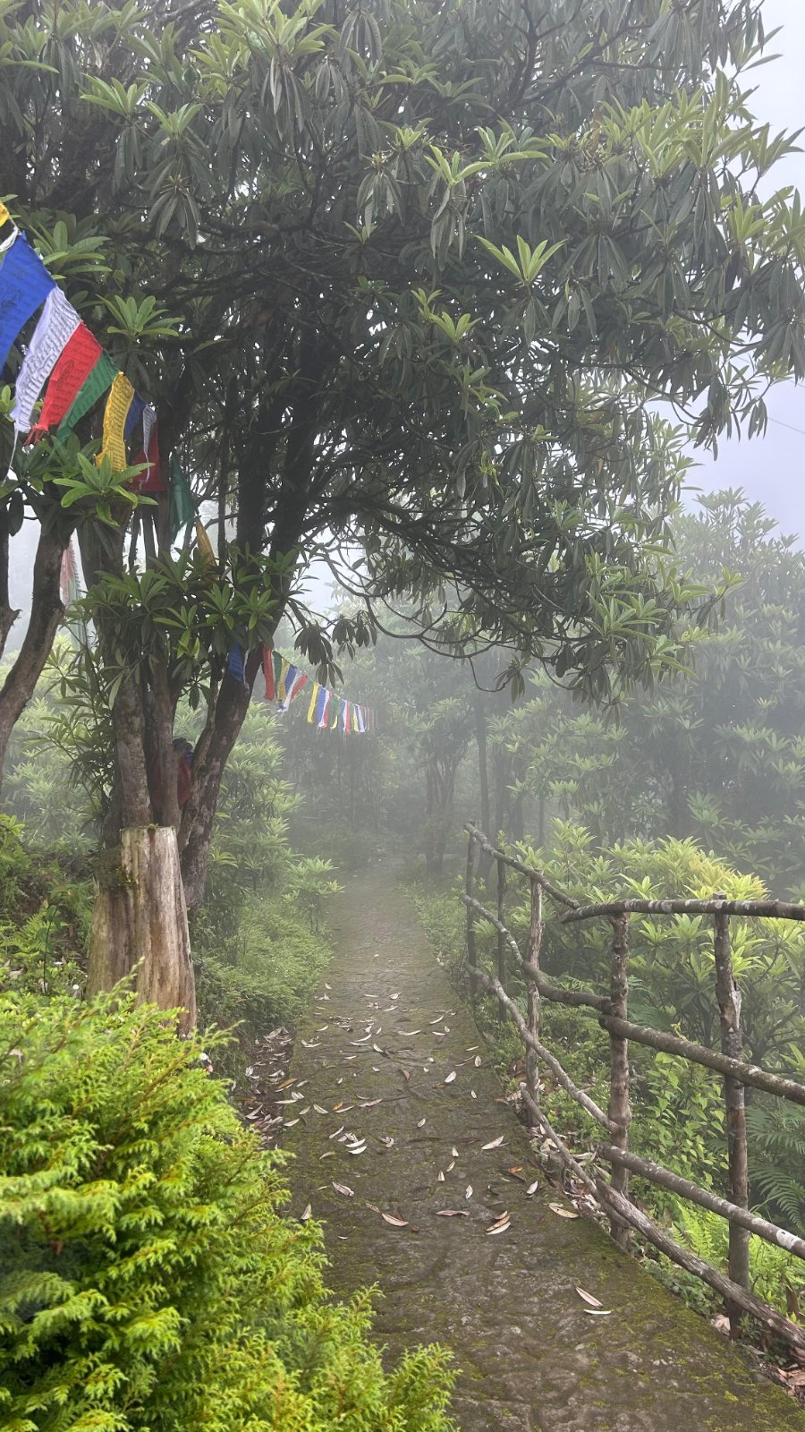 Into the Hidden Hills Of West Sikkim | Group Trip 5